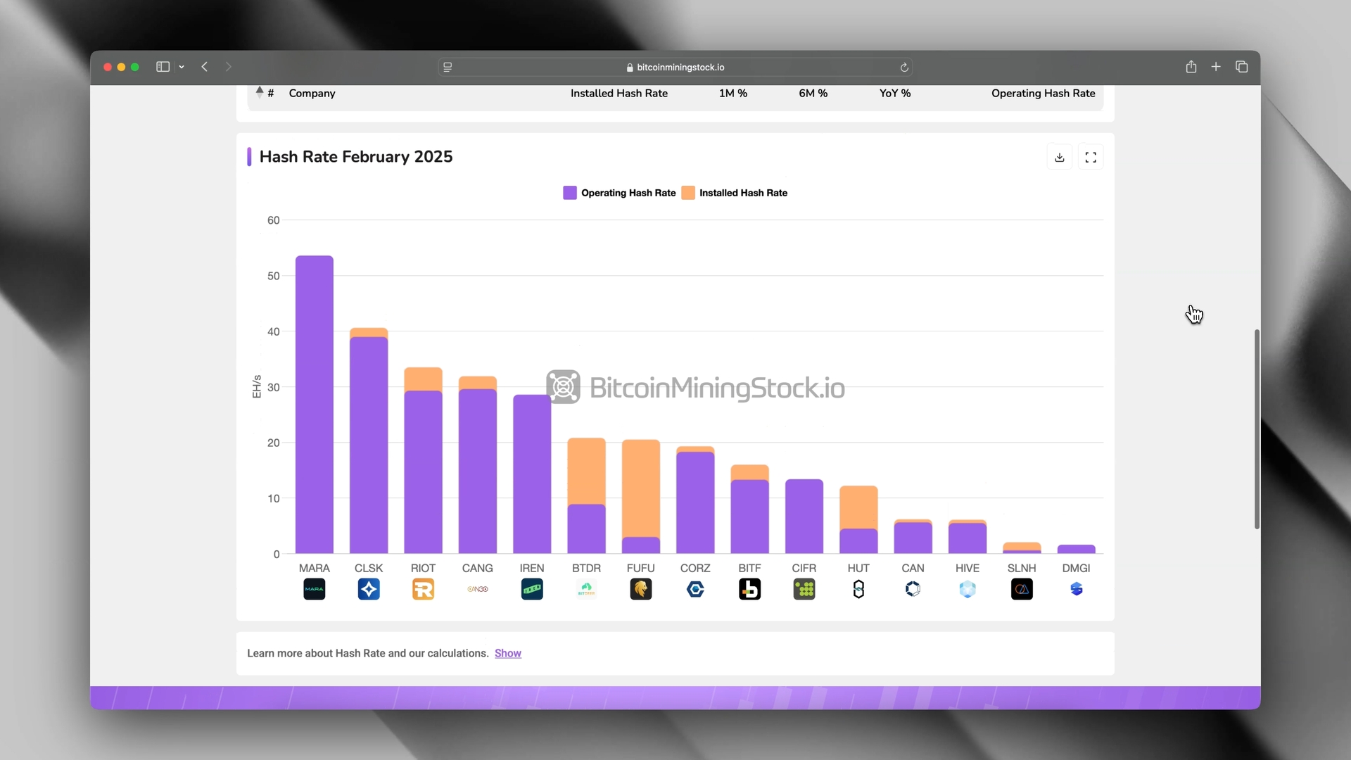 BitcoinMiningStock.io - Image 3